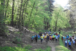 Crosslauf