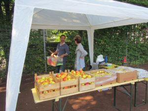 k-IMG_1016